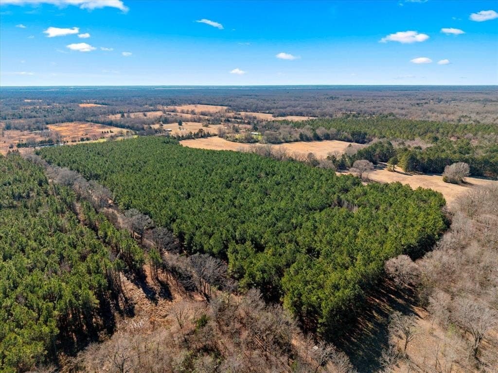 195 acres in Bowie County - photo 13