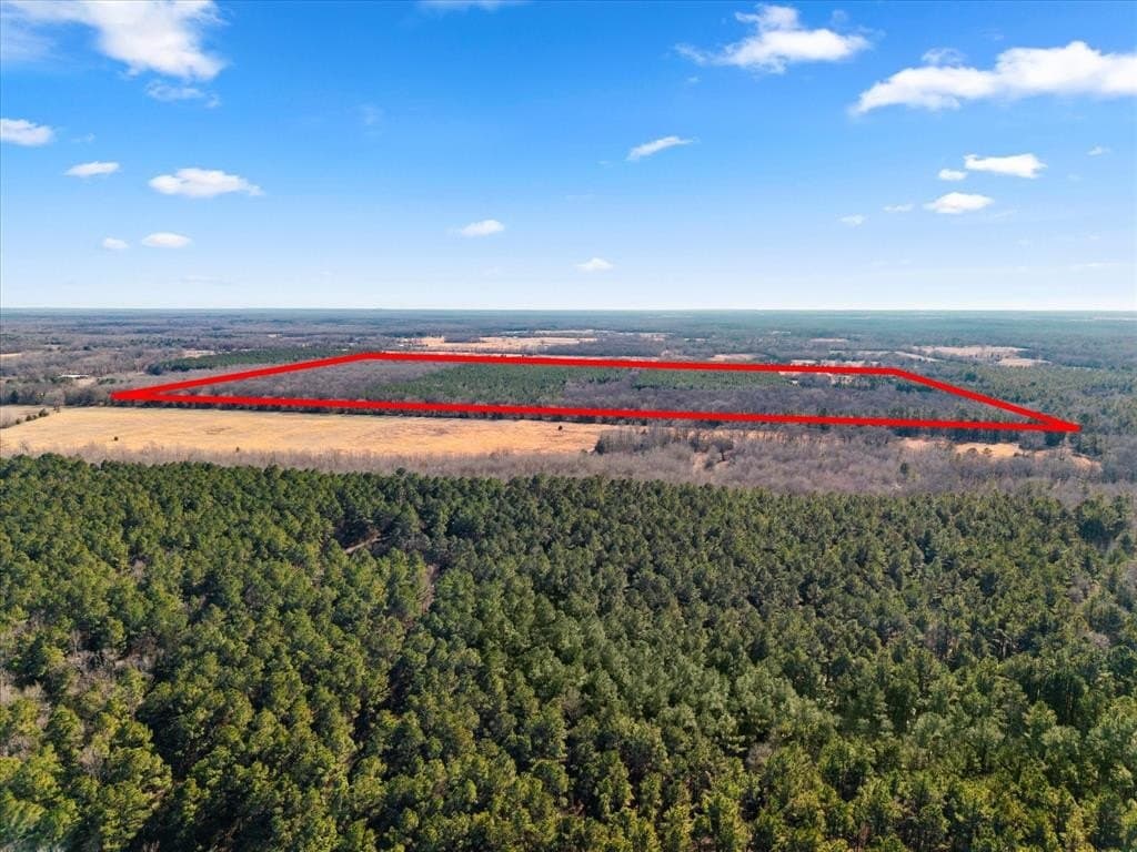 195 acres in Bowie County - photo 35
