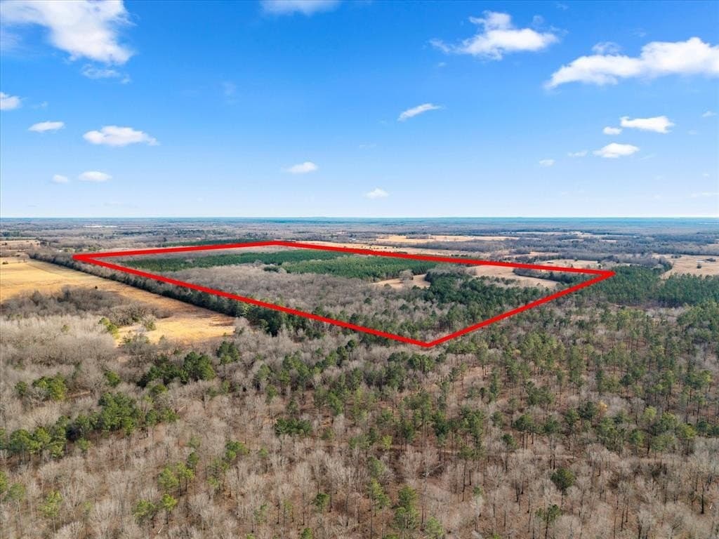 195 acres in Bowie County - photo 37