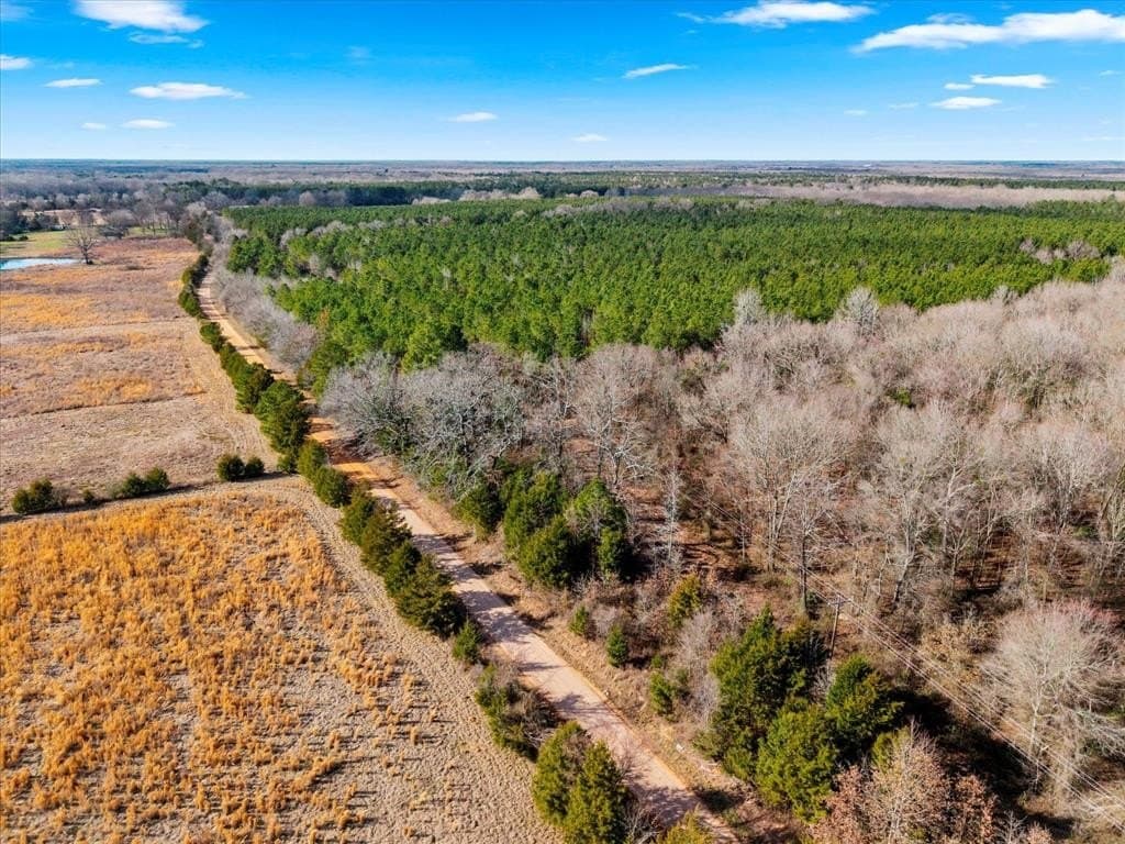 195 acres in Bowie County - photo 5