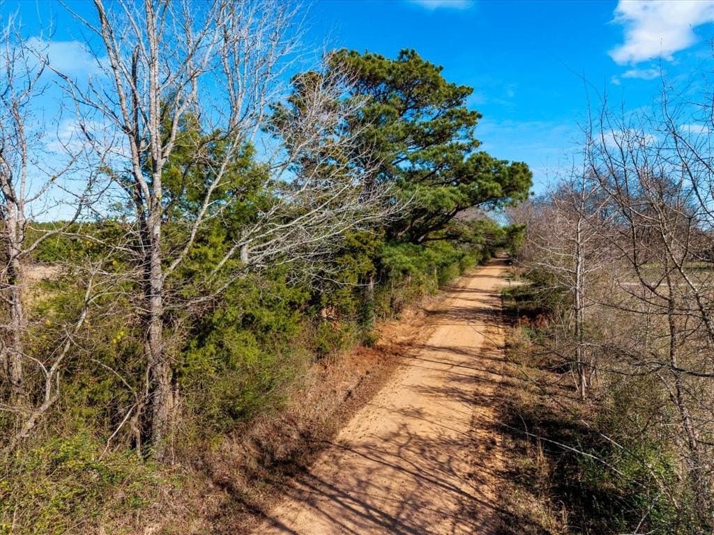 195 acres in Bowie County - photo 4