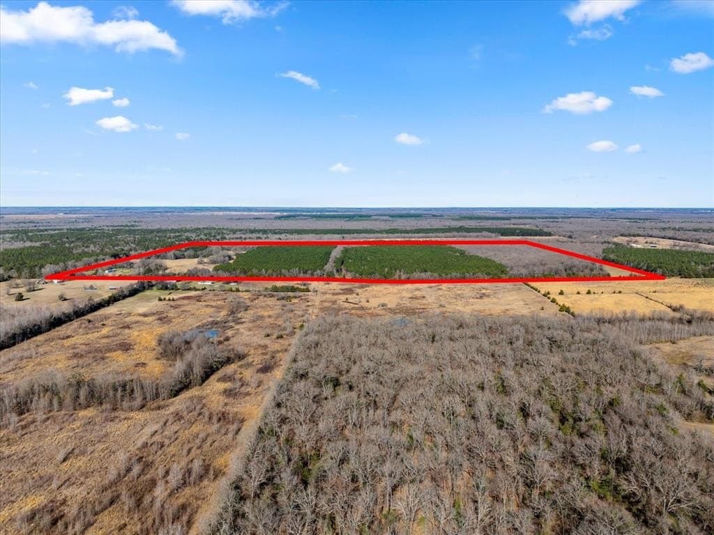 195 acres in Bowie County - photo 26