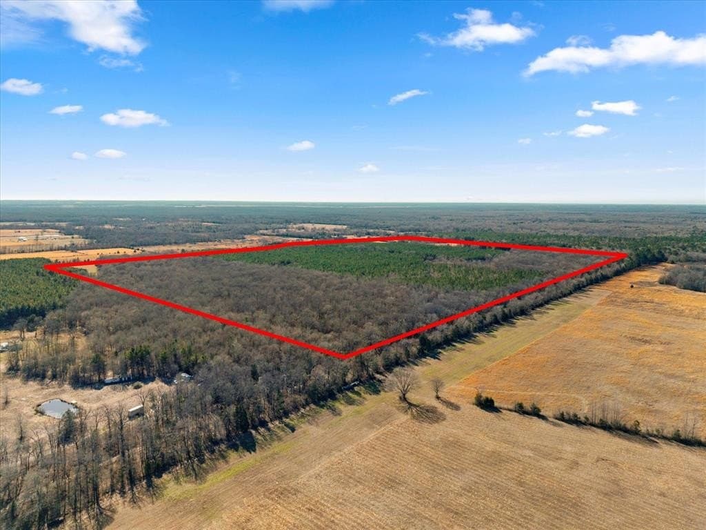 195 acres in Bowie County - photo 33