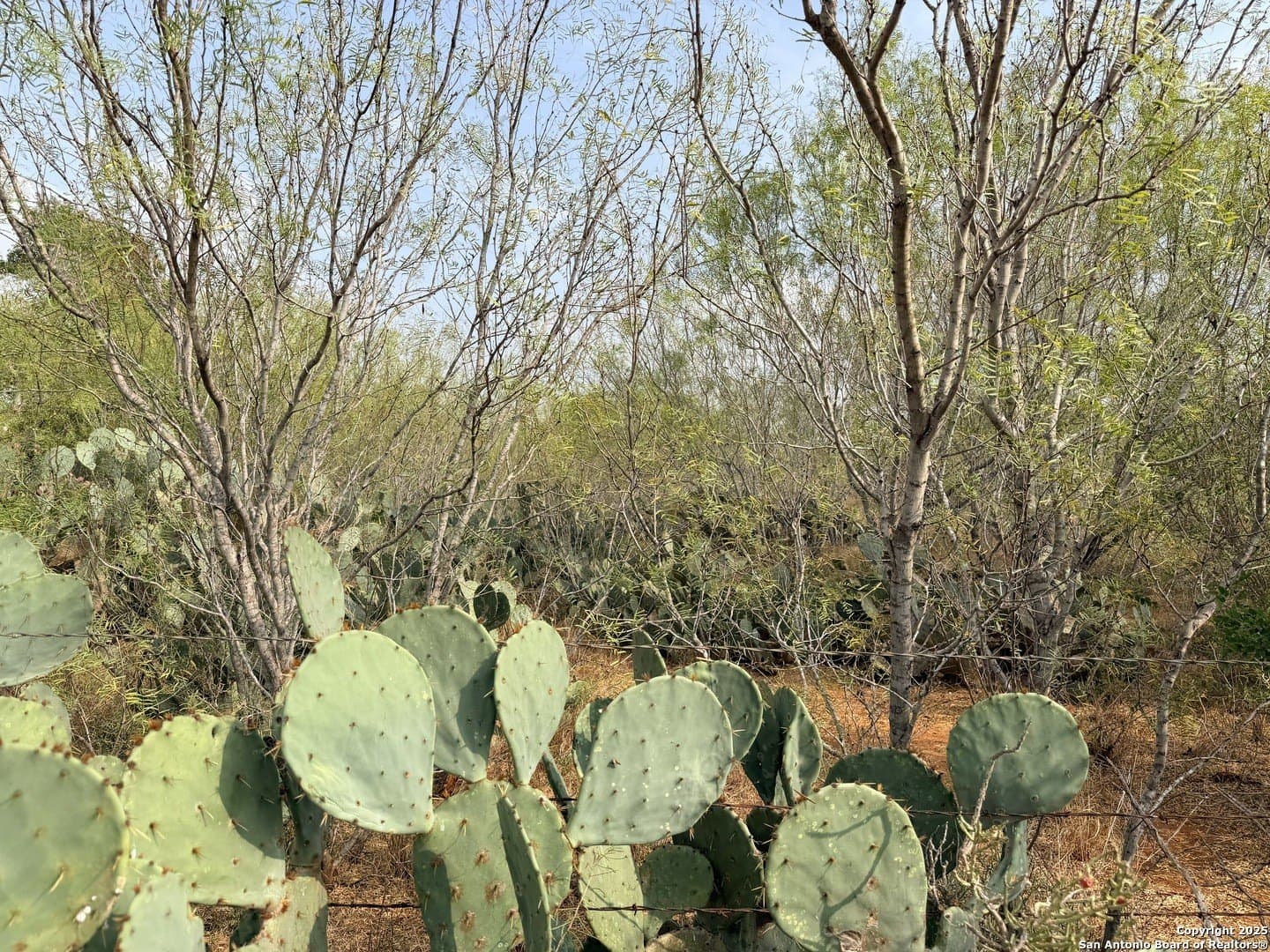 0.7 acres in Atascosa County - photo 6