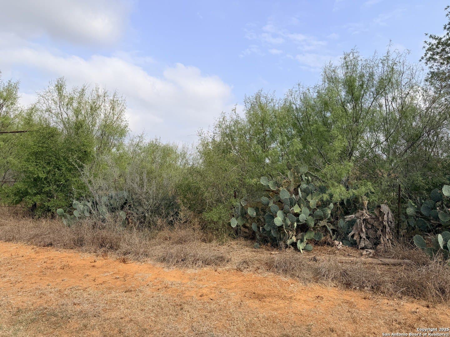 0.7 acres in Atascosa County - photo 10
