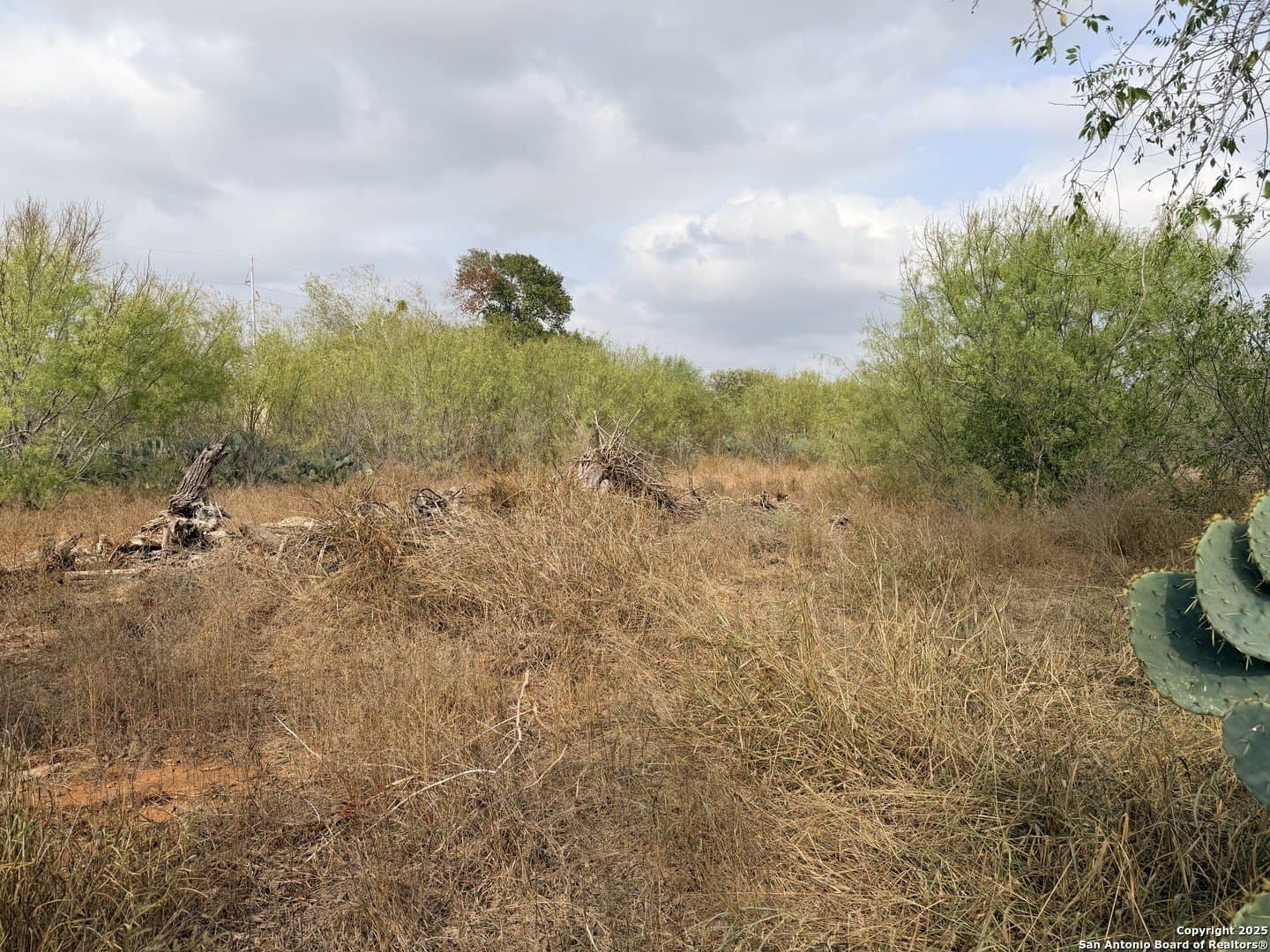 0.7 acres in Atascosa County - photo 5