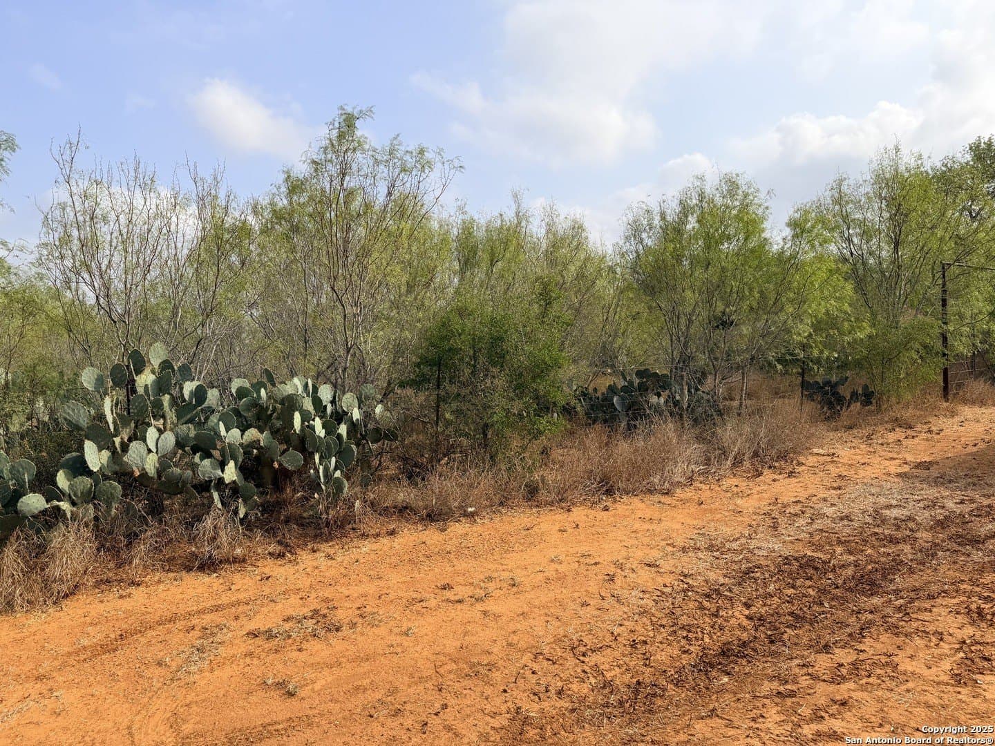 0.7 acres in Atascosa County - photo 9