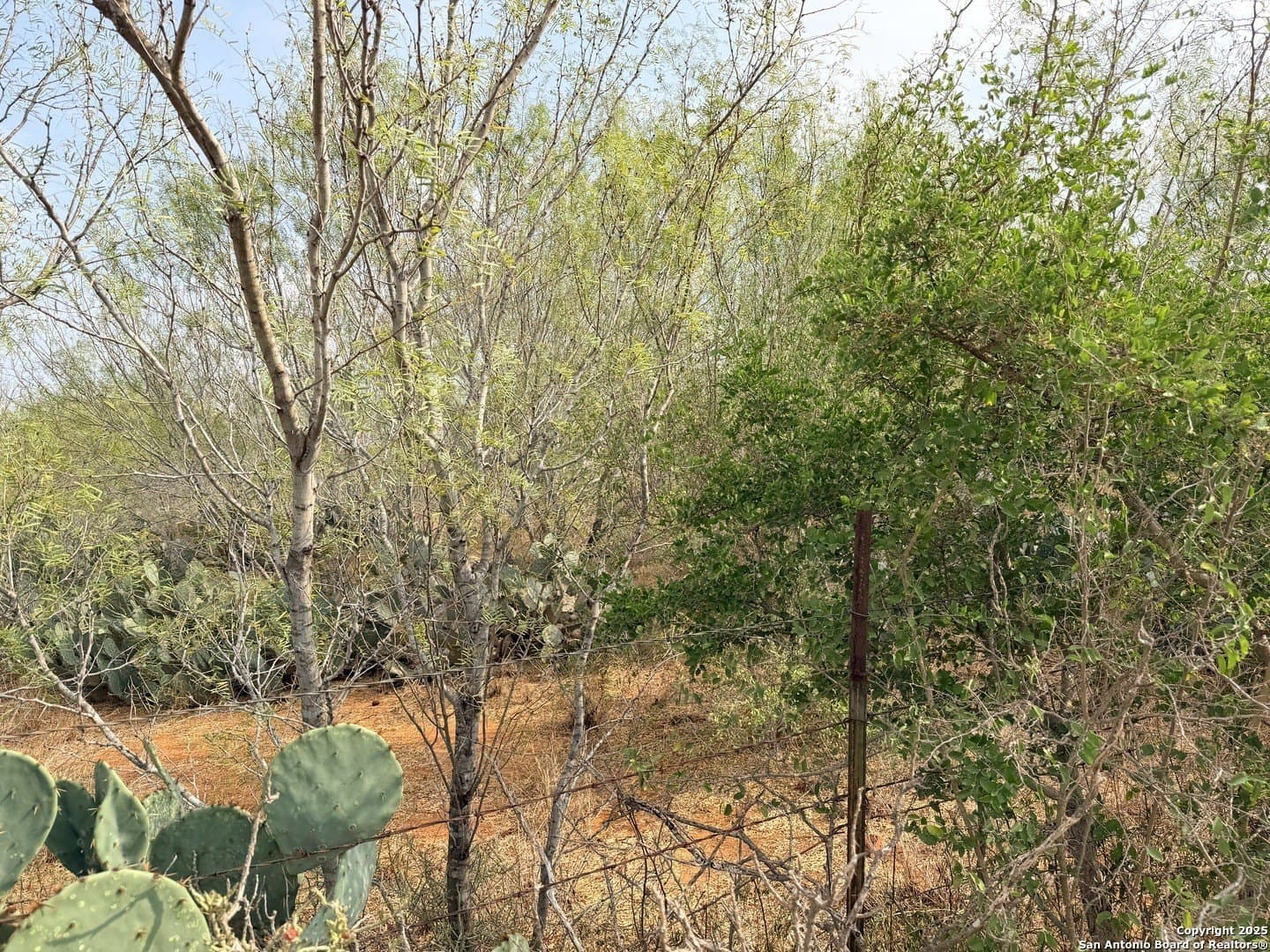 0.7 acres in Atascosa County - photo 8