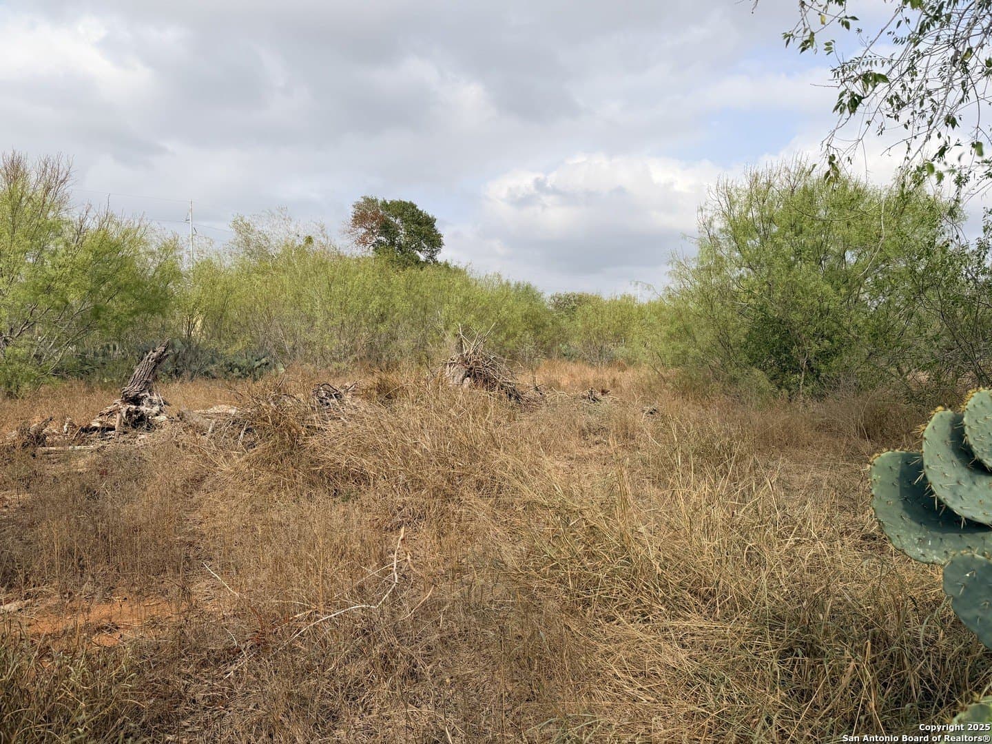 0.7 acres in Atascosa County - photo 7