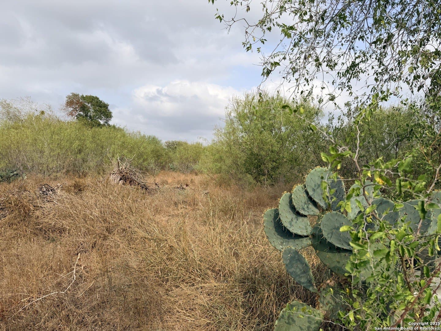 0.7 acres in Atascosa County - photo 4