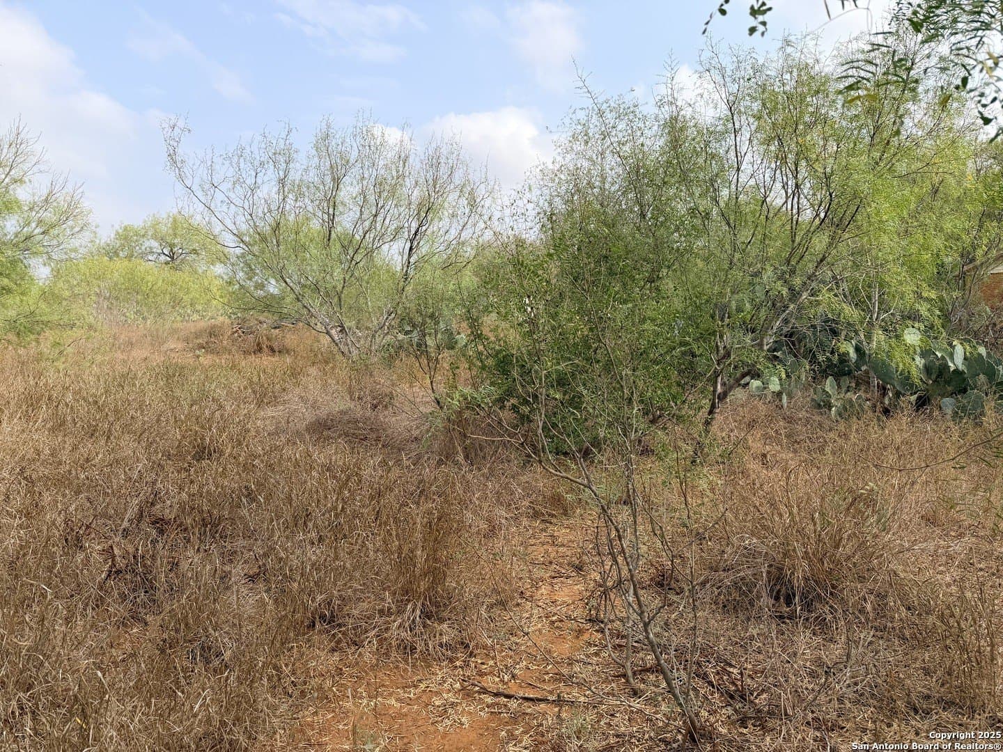 0.7 acres in Atascosa County - photo 3