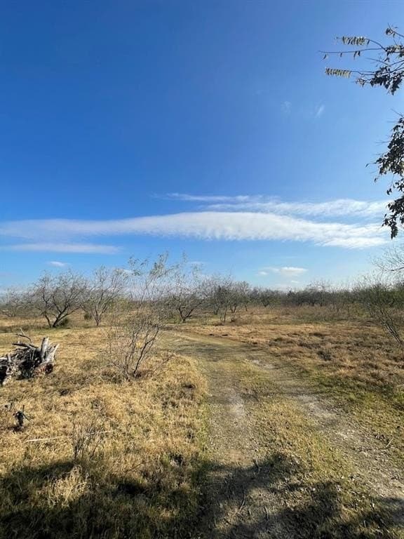 10.1 acres in Navarro County - photo 12