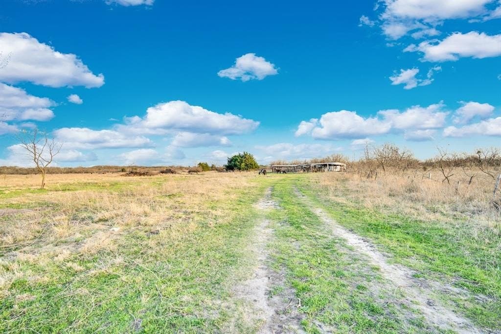 10.1 acres in Navarro County - photo 3
