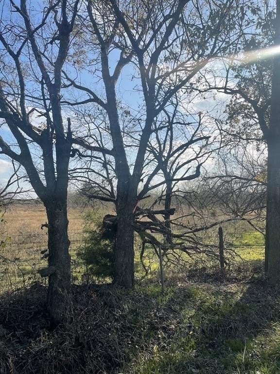 10.1 acres in Navarro County - photo 29