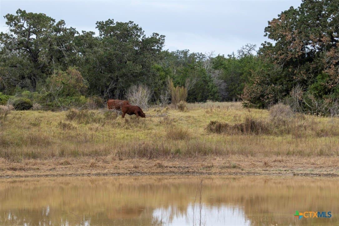 131.16 acres in Fayette County - photo 5