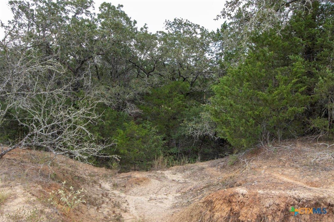 131.16 acres in Fayette County - photo 40