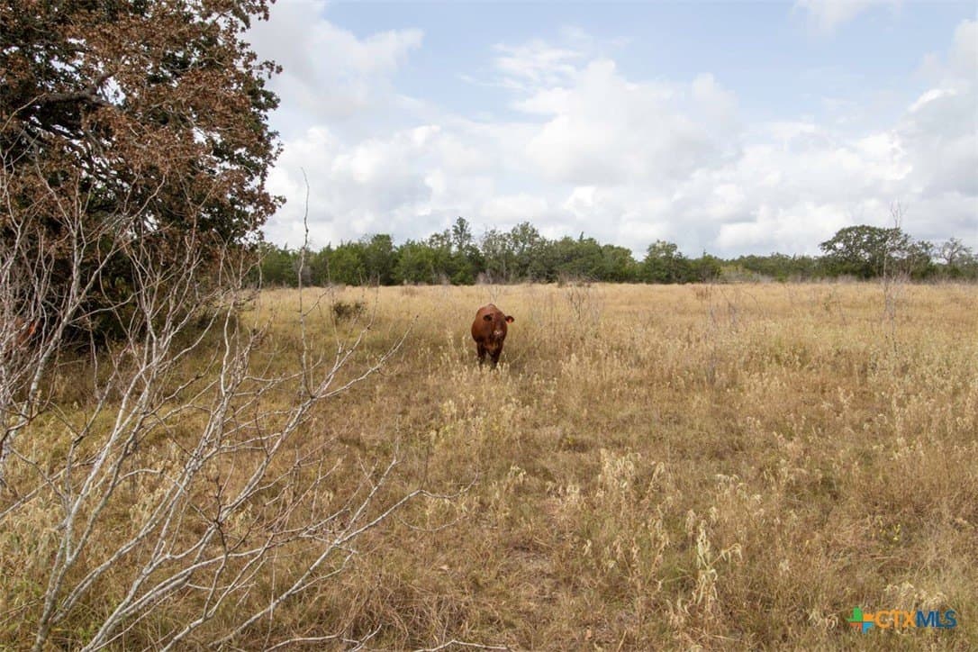 131.16 acres in Fayette County - photo 47