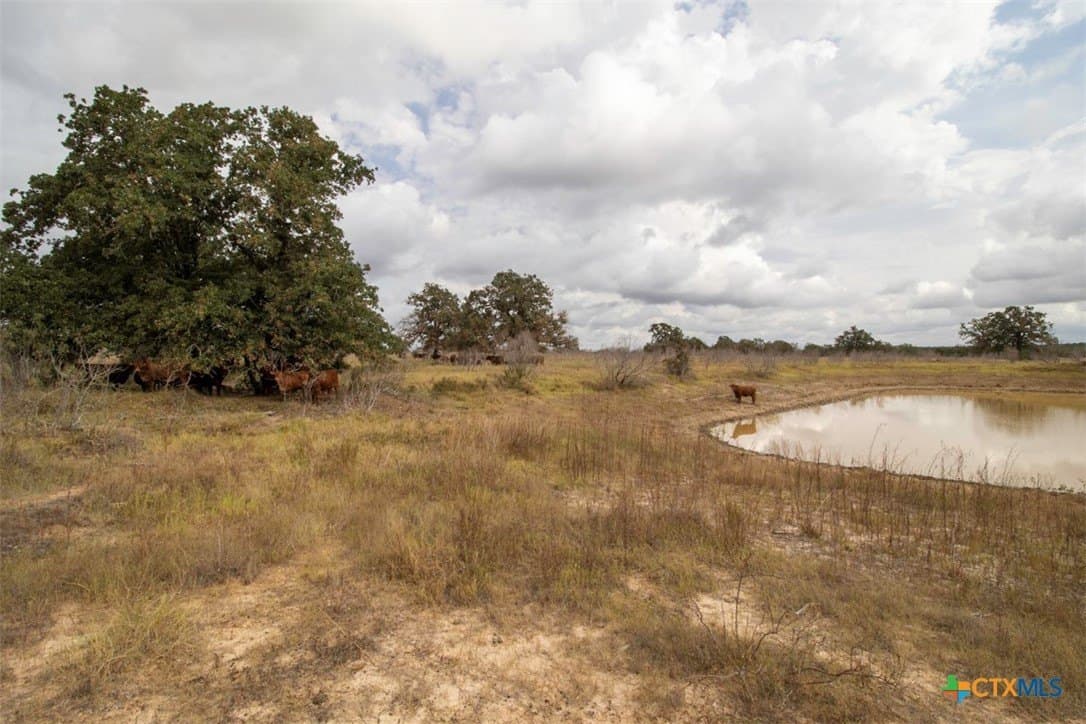 131.16 acres in Fayette County - photo 46
