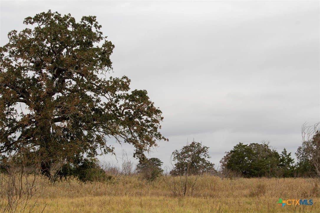 131.16 acres in Fayette County - photo 30