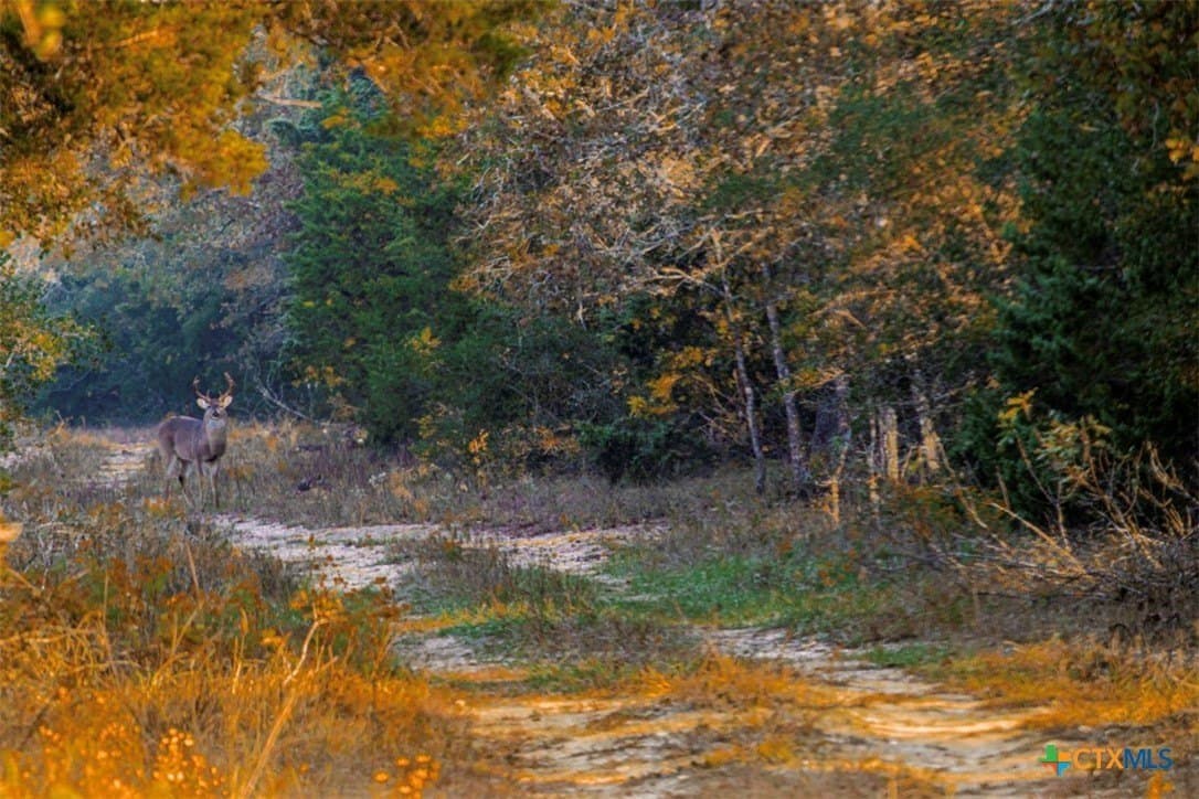 131.16 acres in Fayette County - photo 14