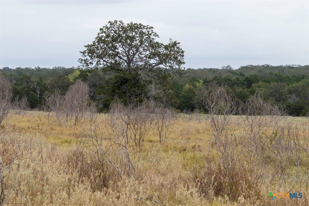 131.16 acres in Fayette County - photo 10