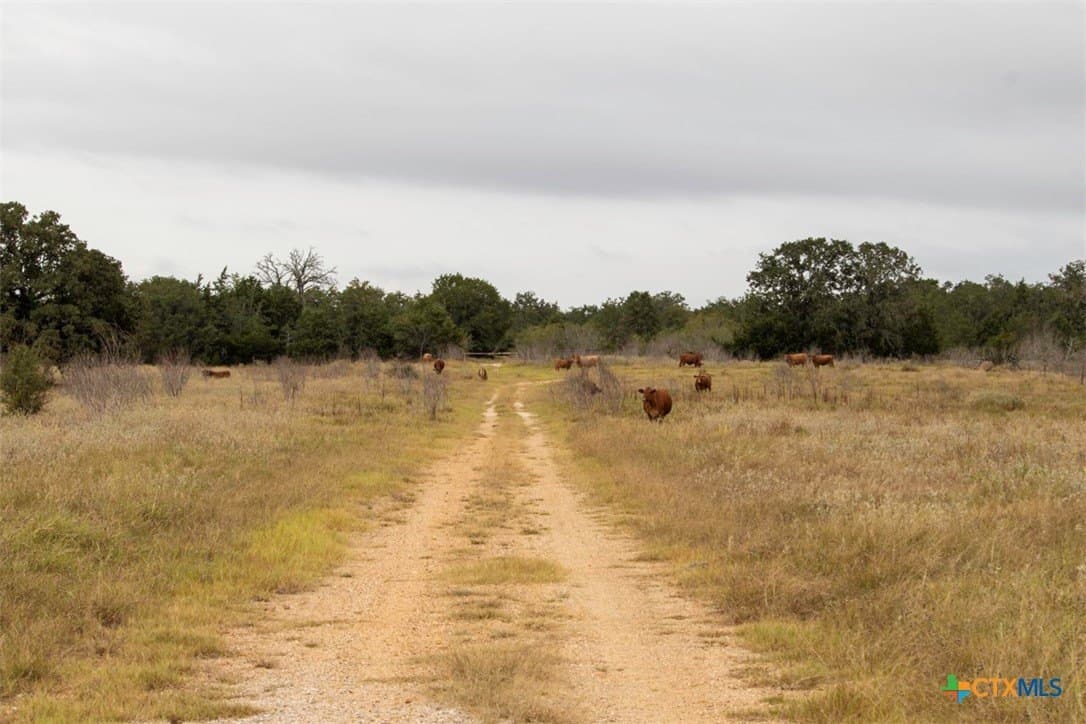 131.16 acres in Fayette County - photo 31