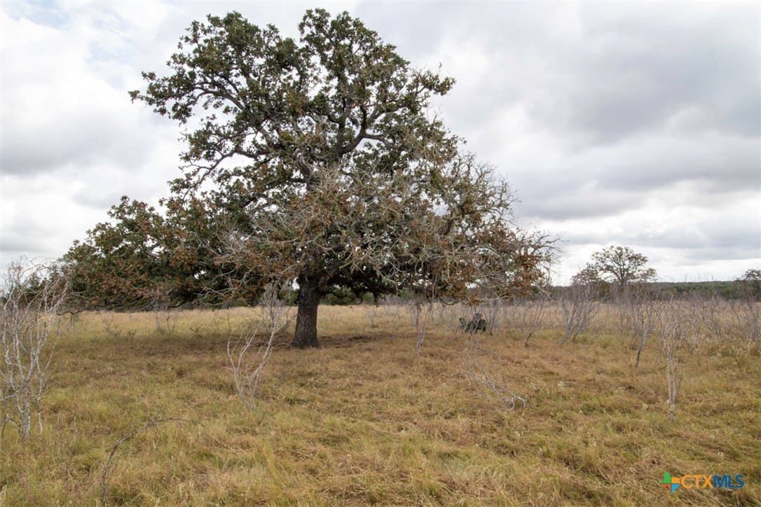 131.16 acres in Fayette County - photo 37