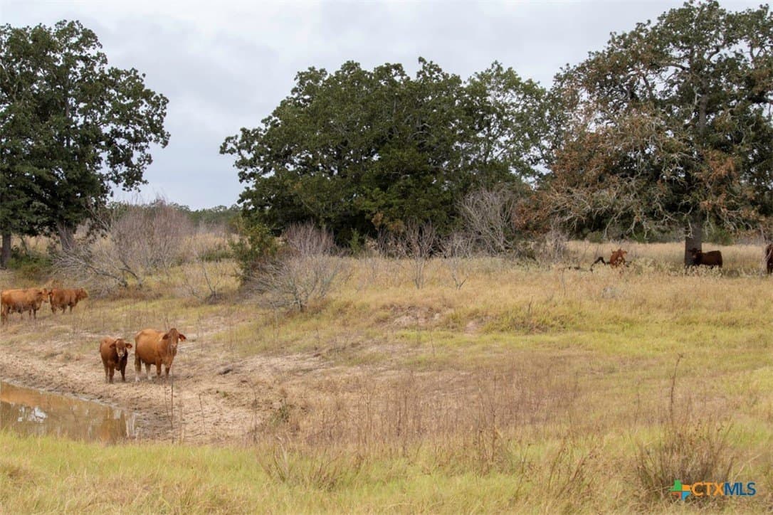 131.16 acres in Fayette County - photo 6