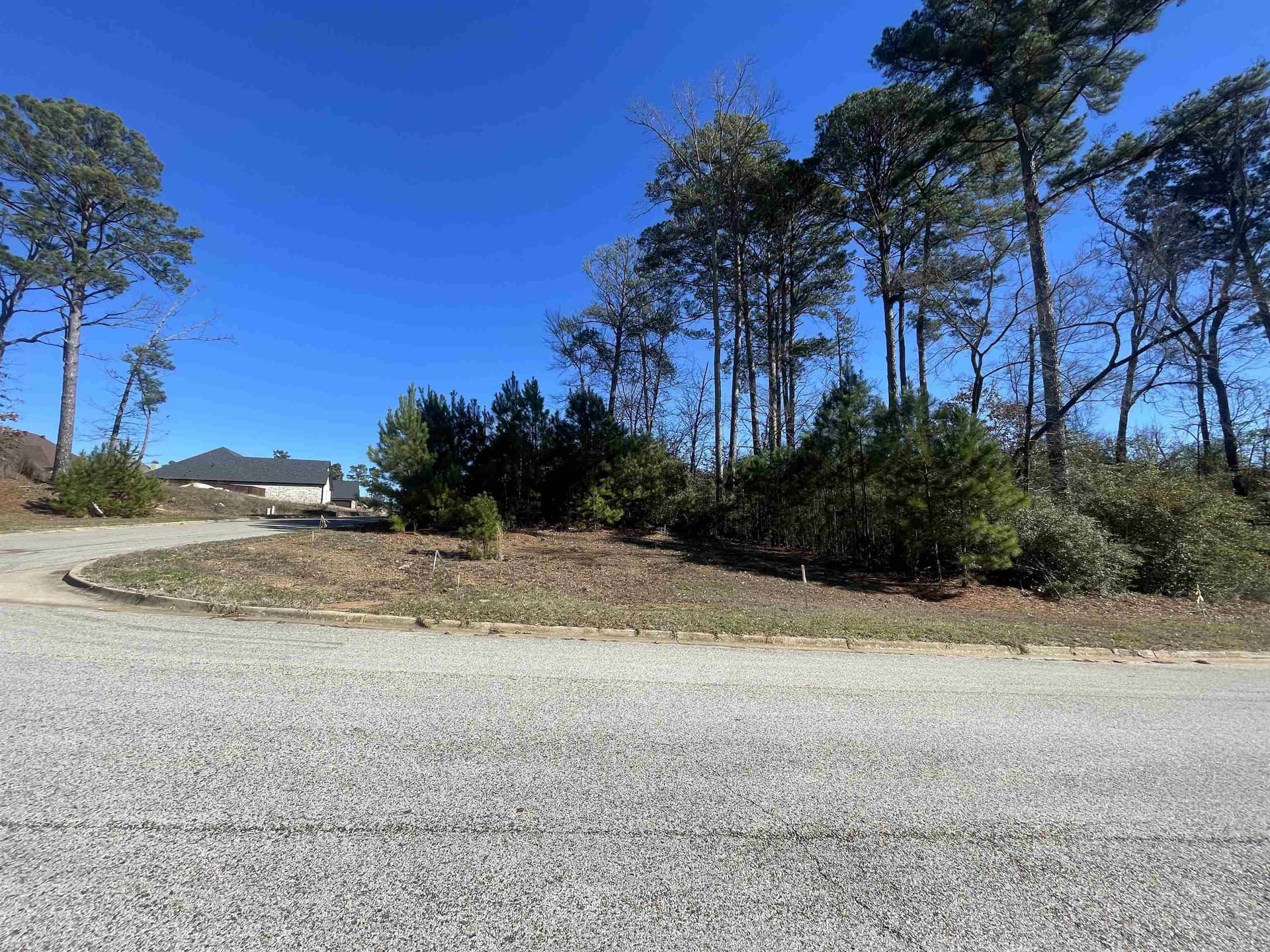 0.25 acres in Gregg County - photo 4