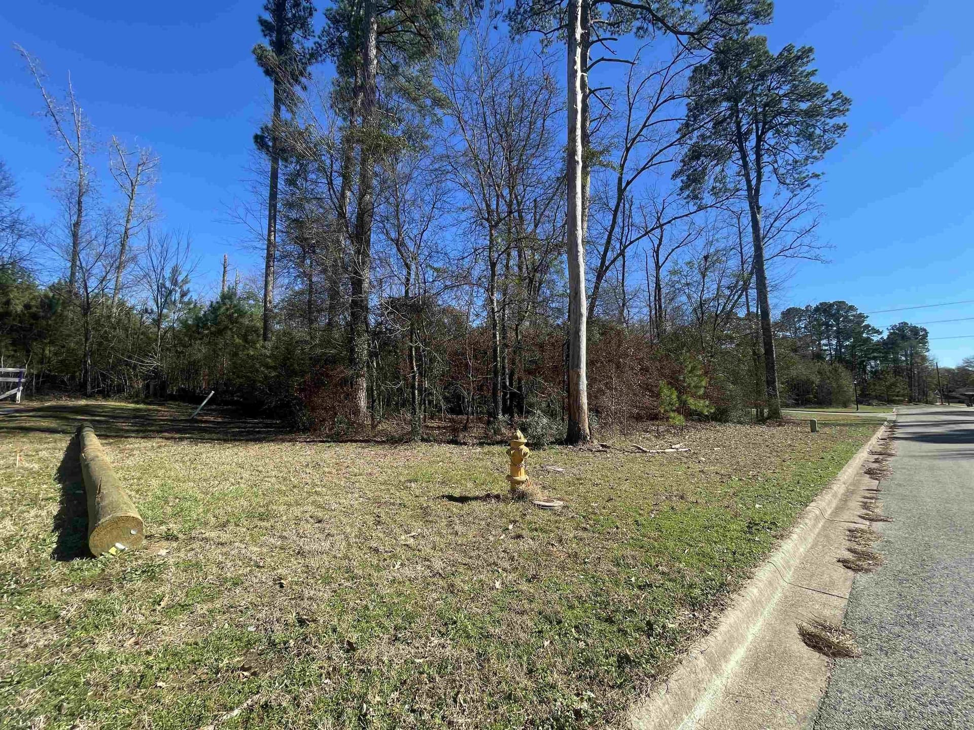 0.25 acres in Gregg County - photo 7