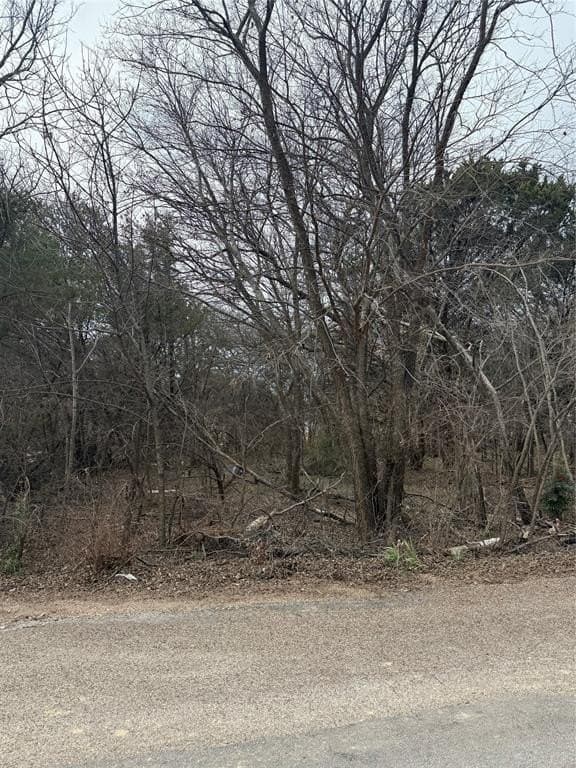 0.08 acres in Hood County - photo 7