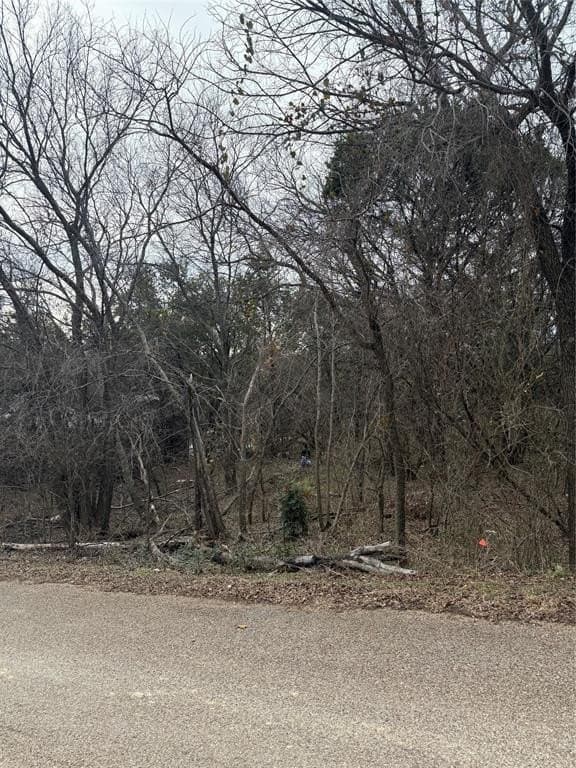 0.08 acres in Hood County - photo 2