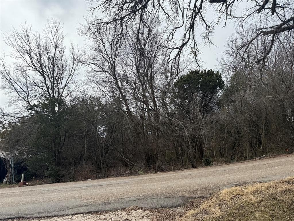 0.08 acres in Hood County - photo 6