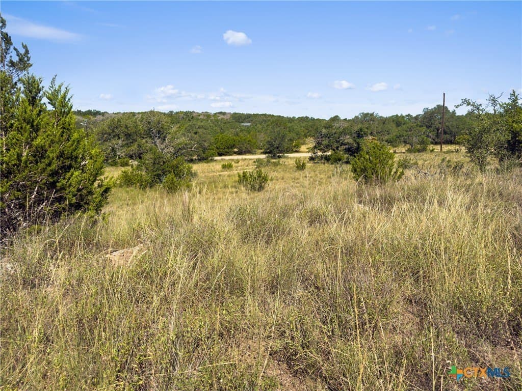 10.57 acres in Blanco County - photo 14