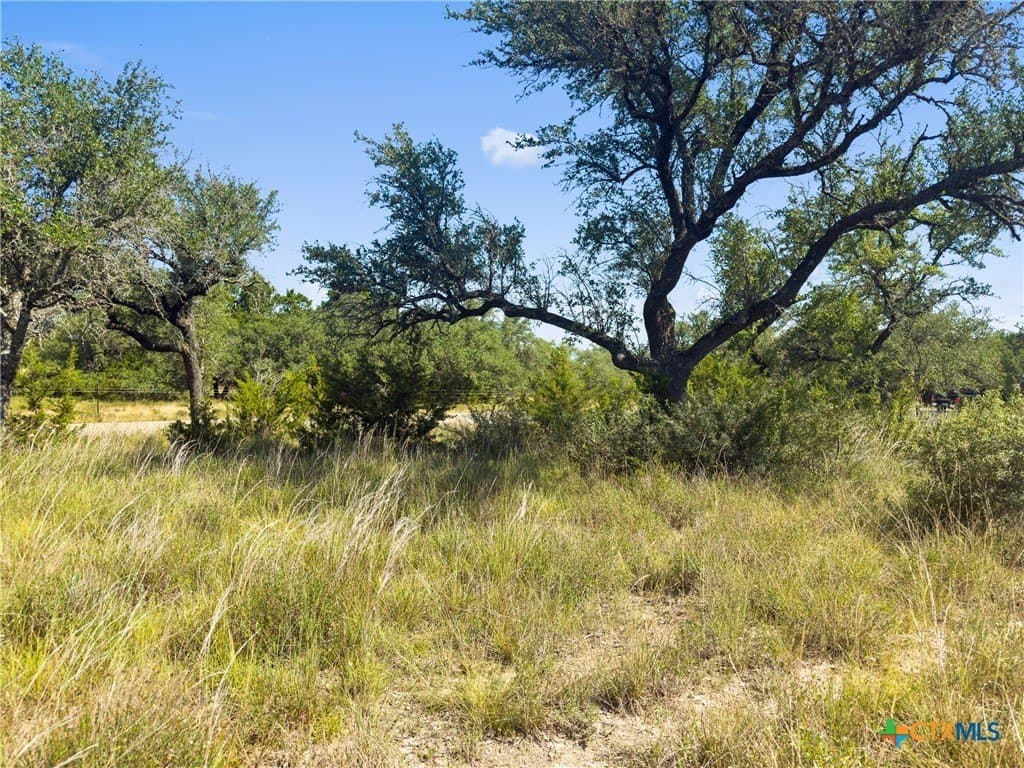 10.57 acres in Blanco County - photo 9