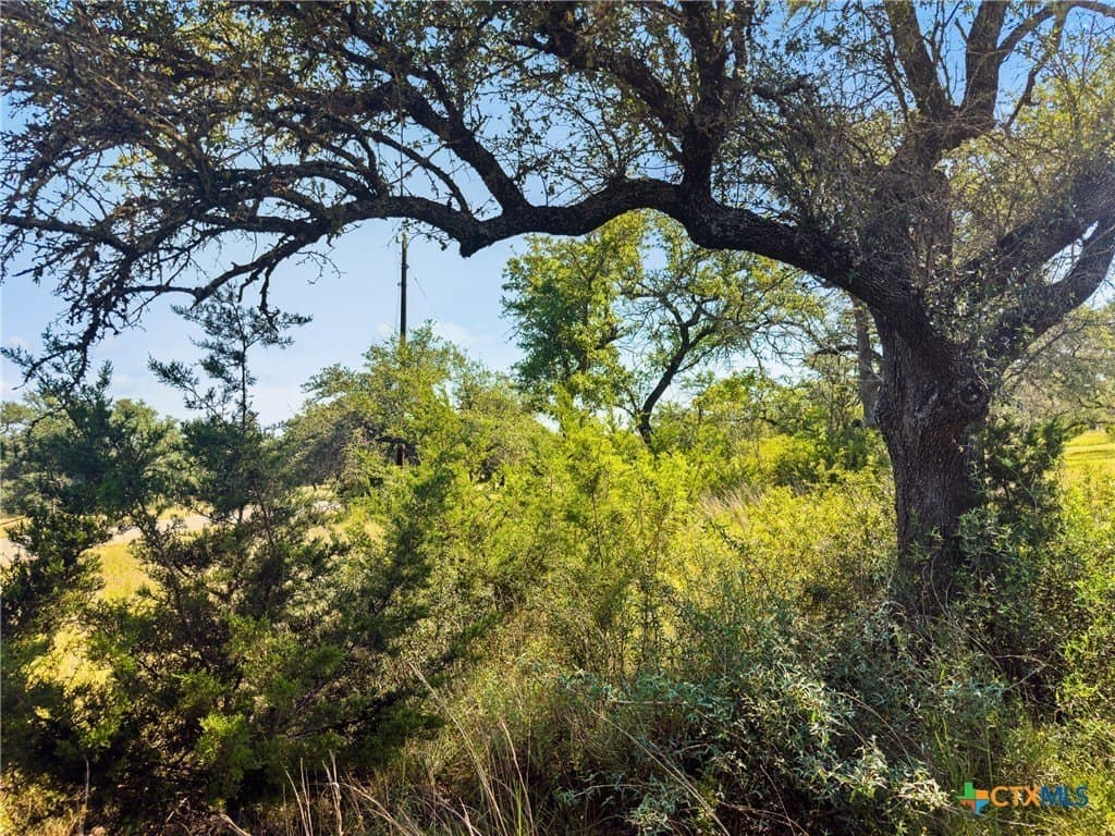 10.57 acres in Blanco County - photo 4