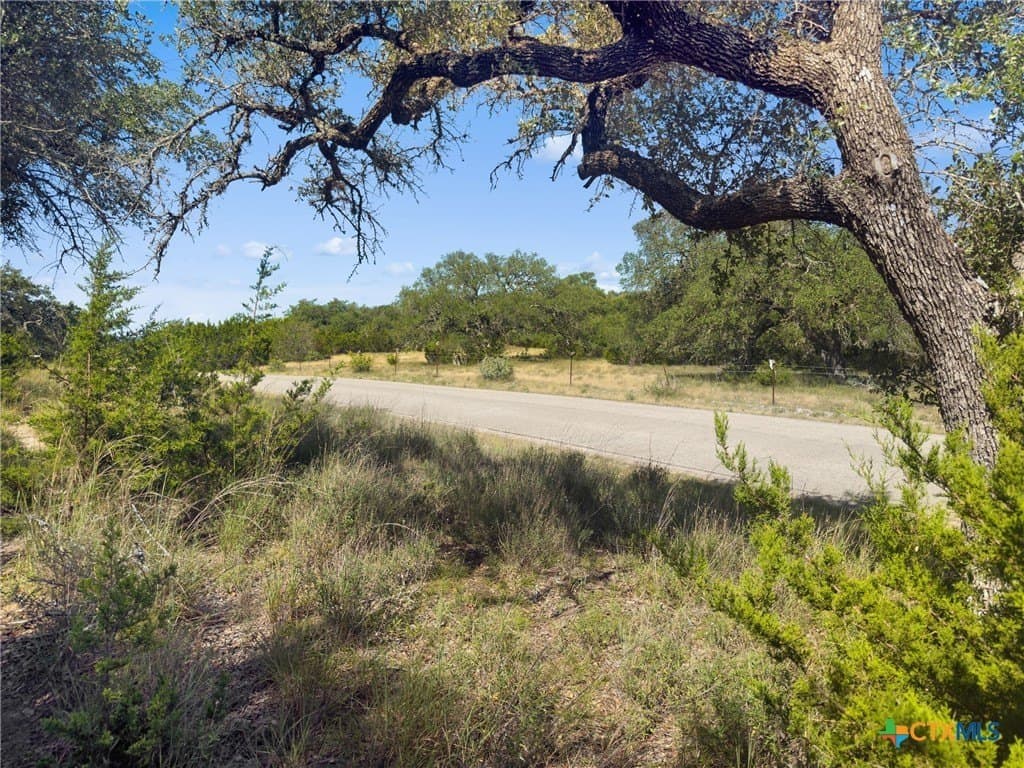 10.57 acres in Blanco County - photo 8