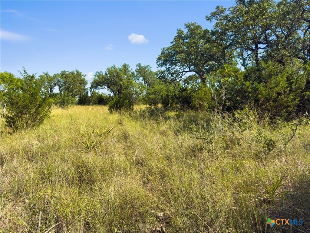 10.57 acres in Blanco County - photo 16