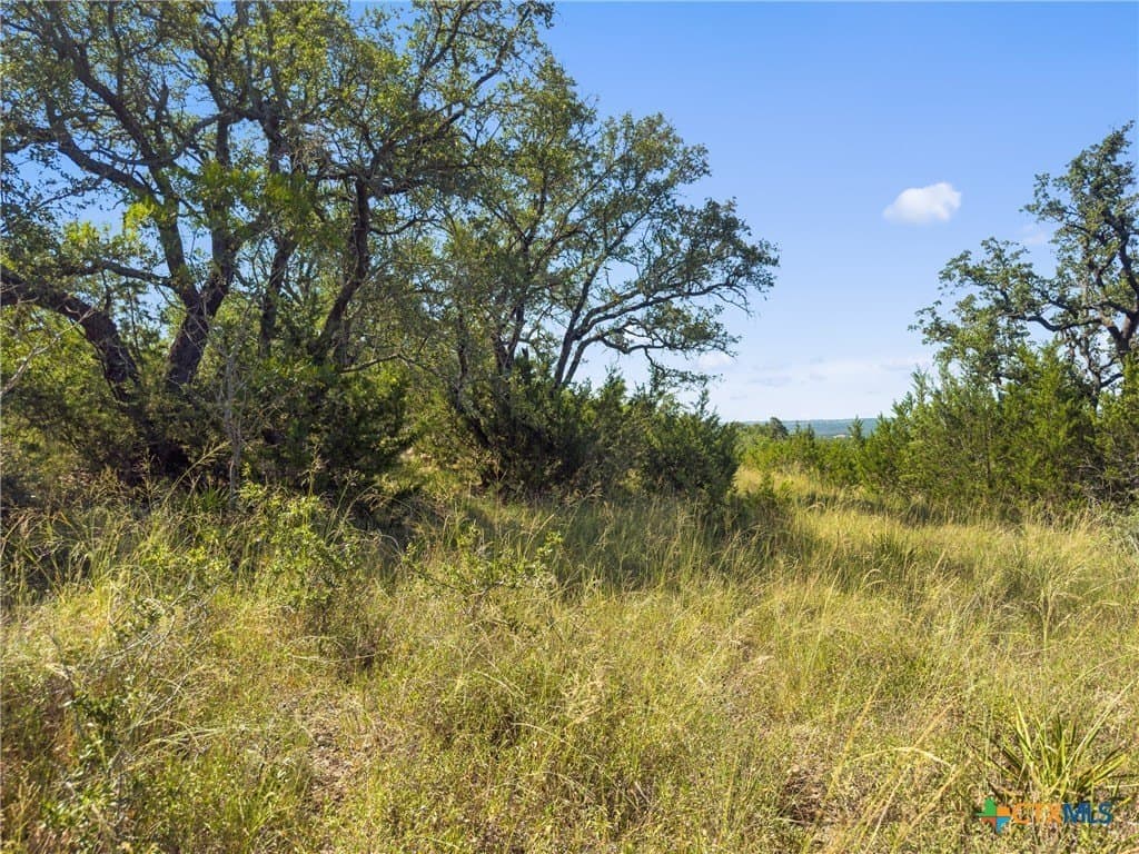 10.57 acres in Blanco County - photo 15
