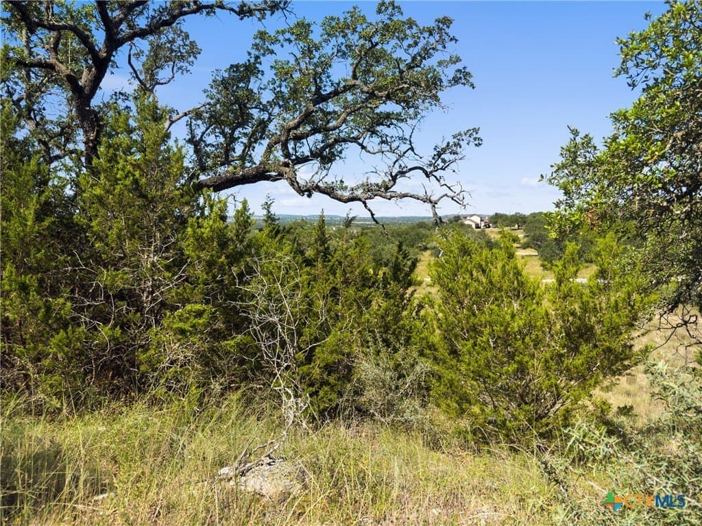 10.57 acres in Blanco County - photo 2