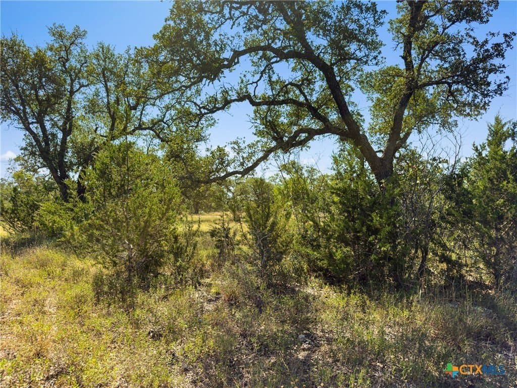 10.57 acres in Blanco County - photo 13