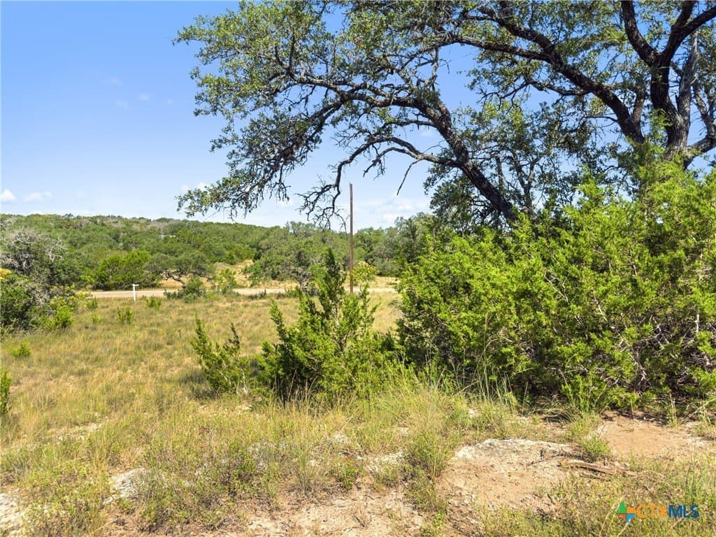 10.57 acres in Blanco County - photo 18
