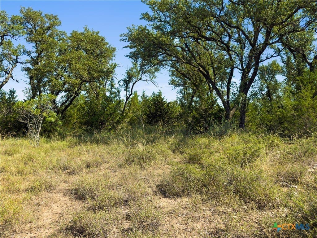 10.57 acres in Blanco County - photo 17