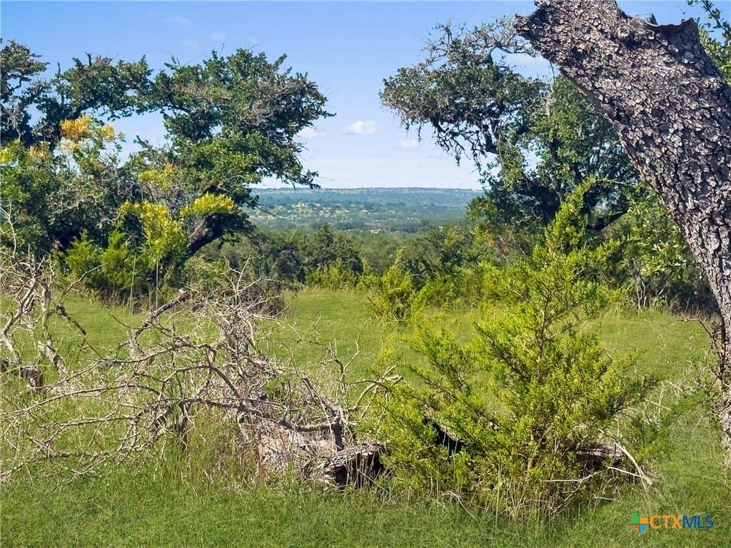 10.57 acres in Blanco County - photo 6