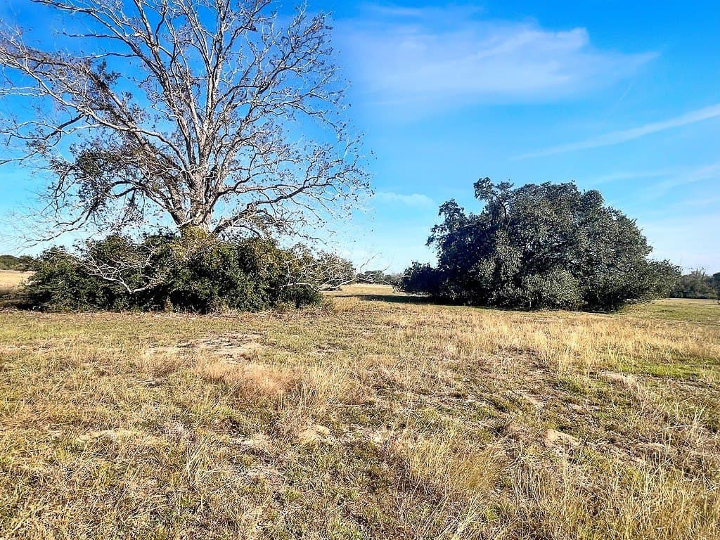 18 acres in Colorado County - photo 6
