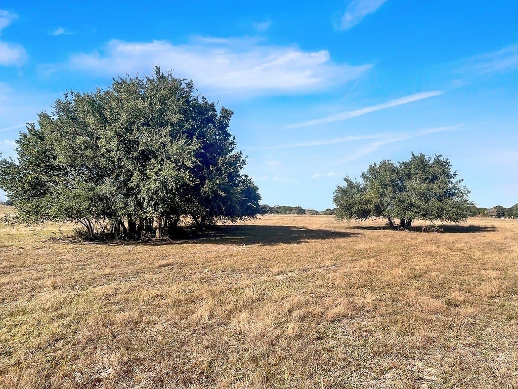 18 acres in Colorado County - photo 2