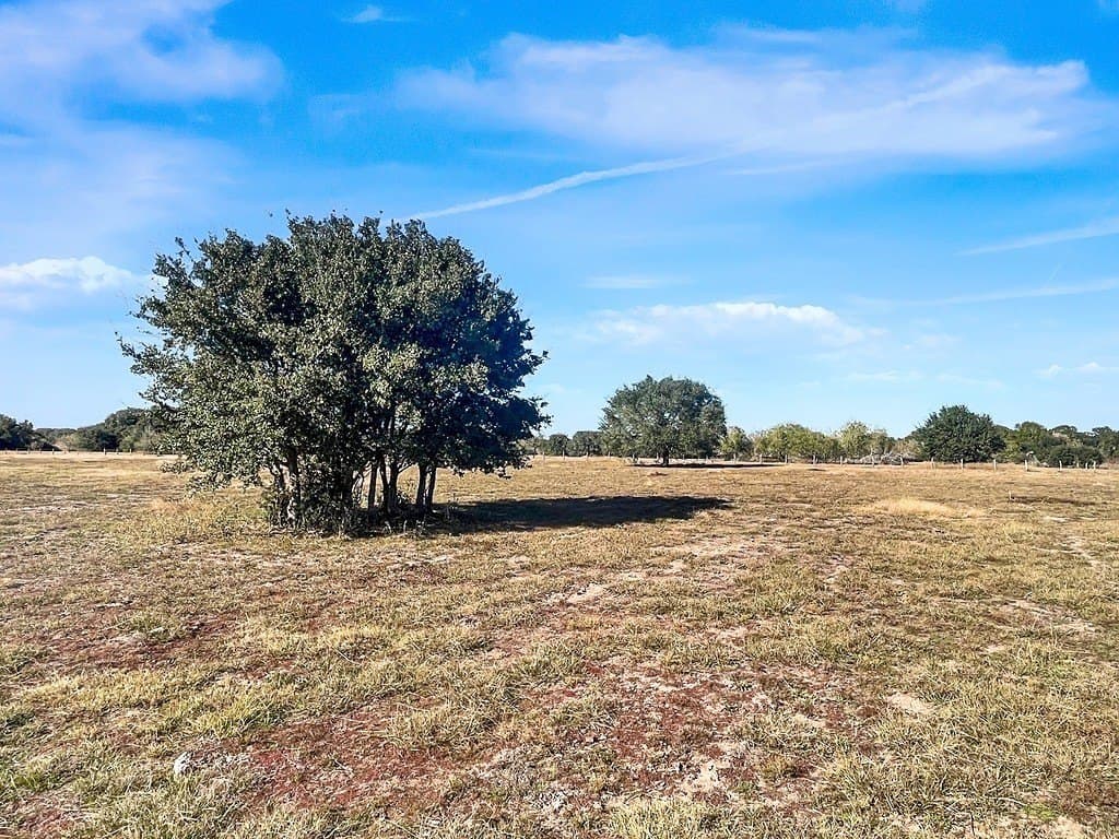 18 acres in Colorado County - photo 4