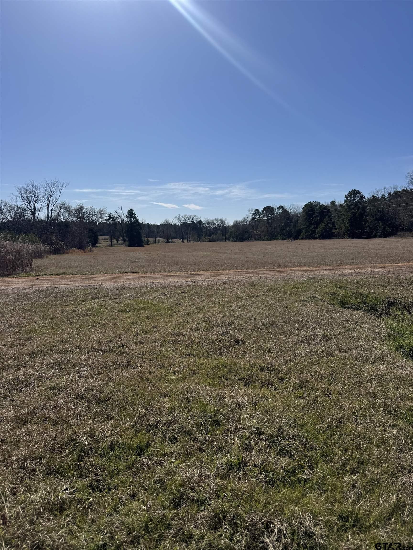 10 acres in Wood County - photo 17
