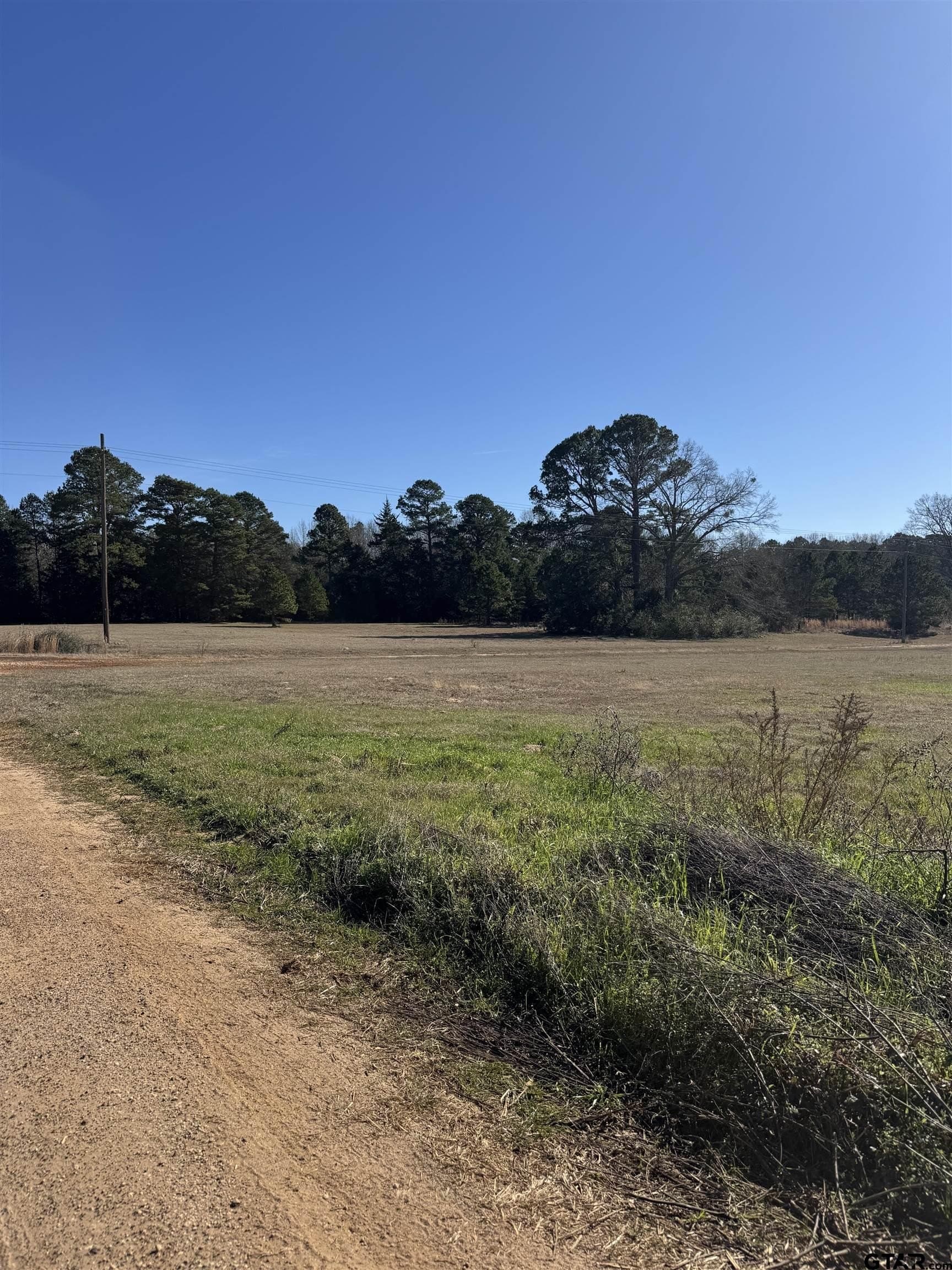 10 acres in Wood County - photo 16