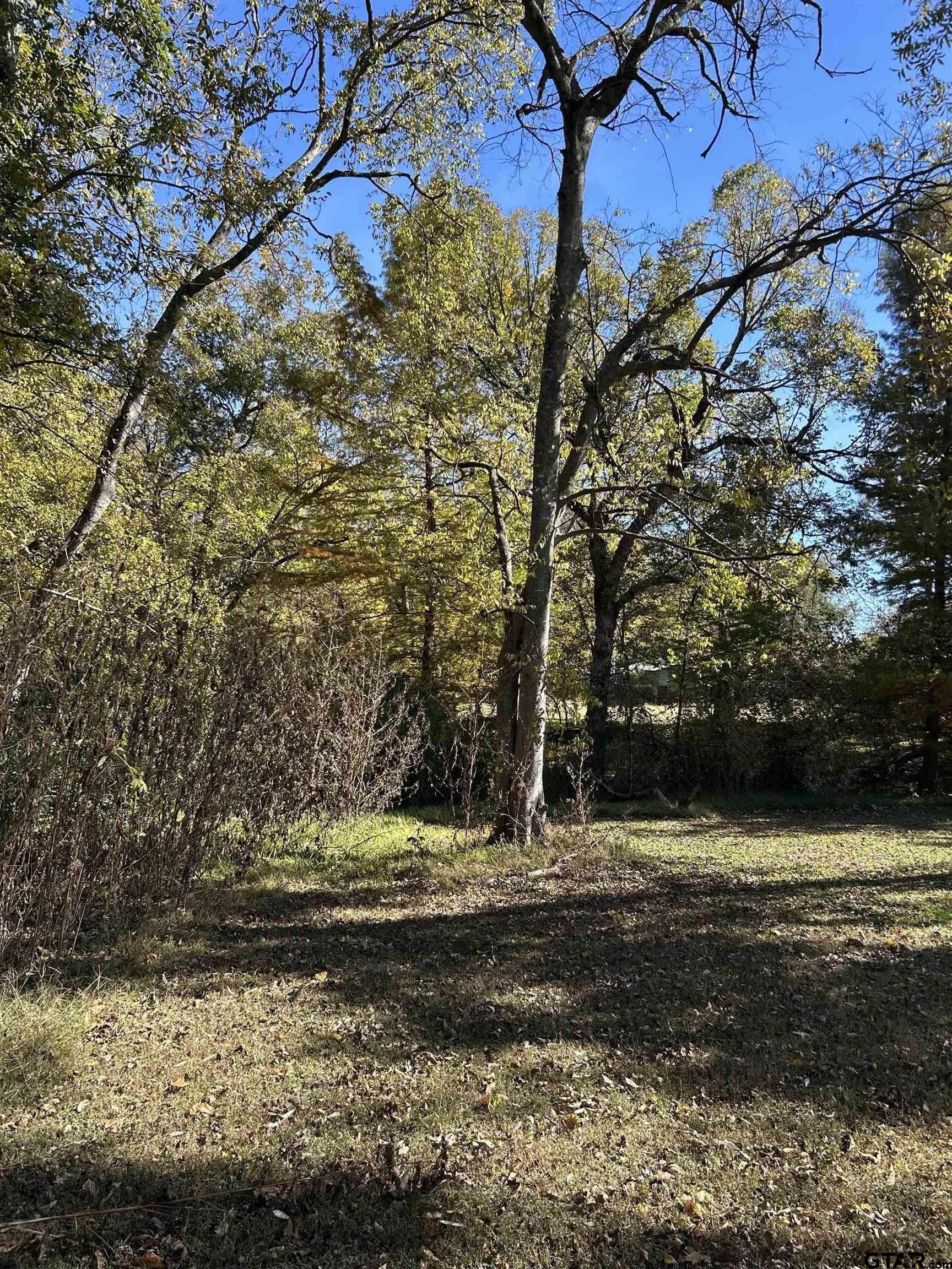 0.59 acres in Franklin County - photo 4